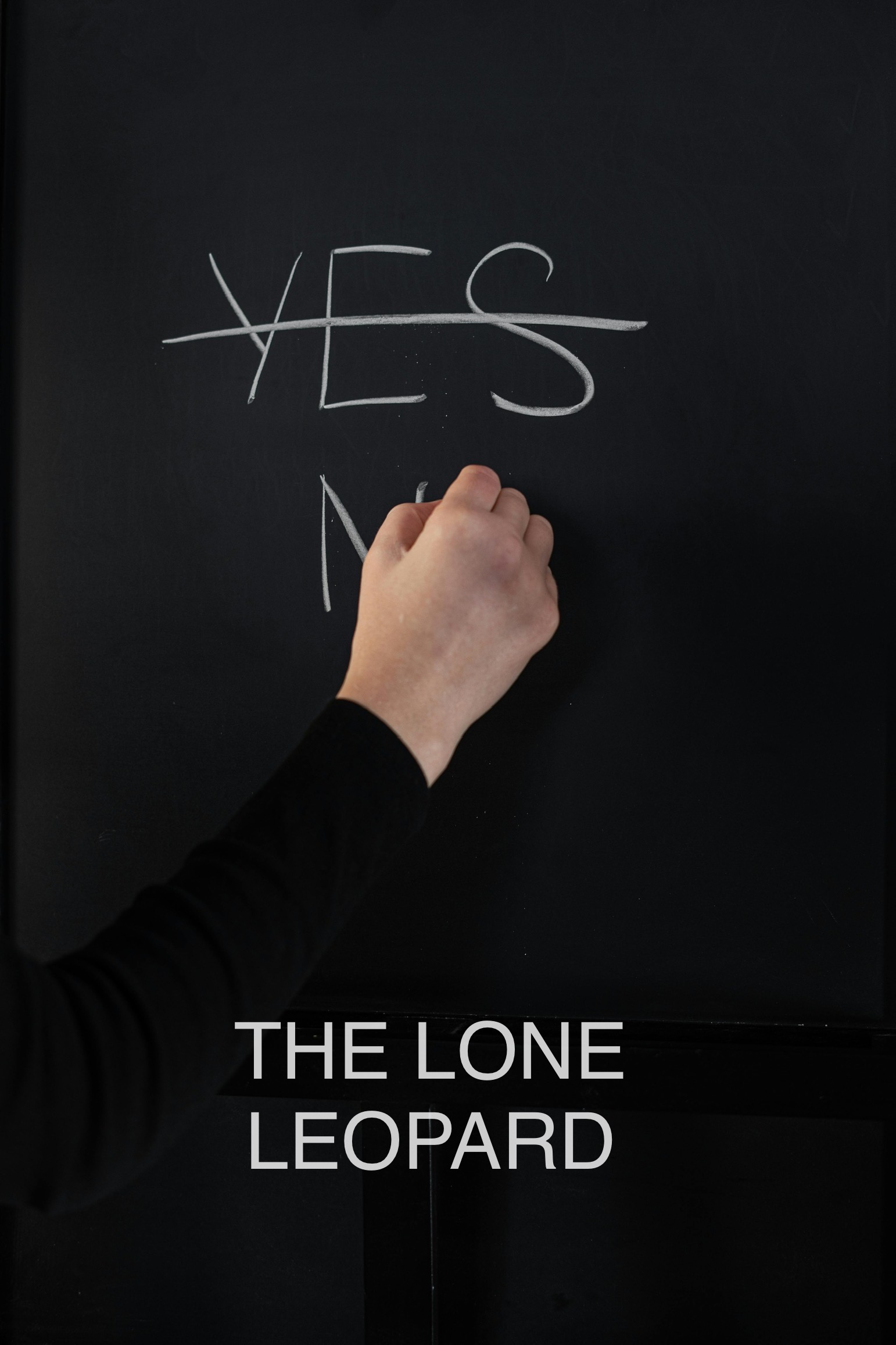 “The marriage proposal goes wrong” – Chapter 28