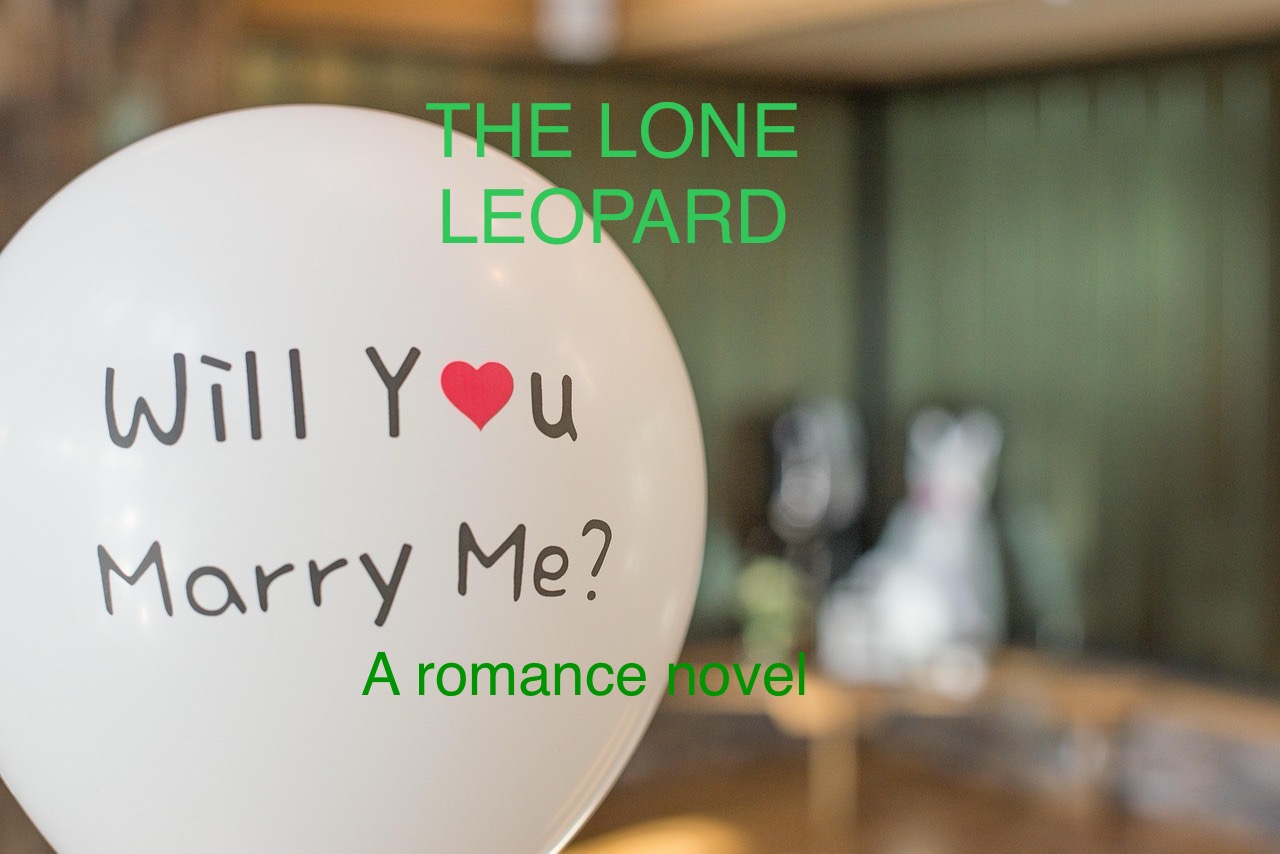 The second marriage proposal goes horribly wrong – Chapter 31