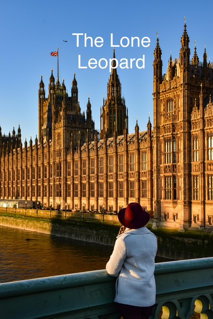 ‘“A traditional woman” was what was on his lips. Now he abandons the traditional woman in Kabul and gets married in England. I don’t understand the logic of this” – Chapter 35